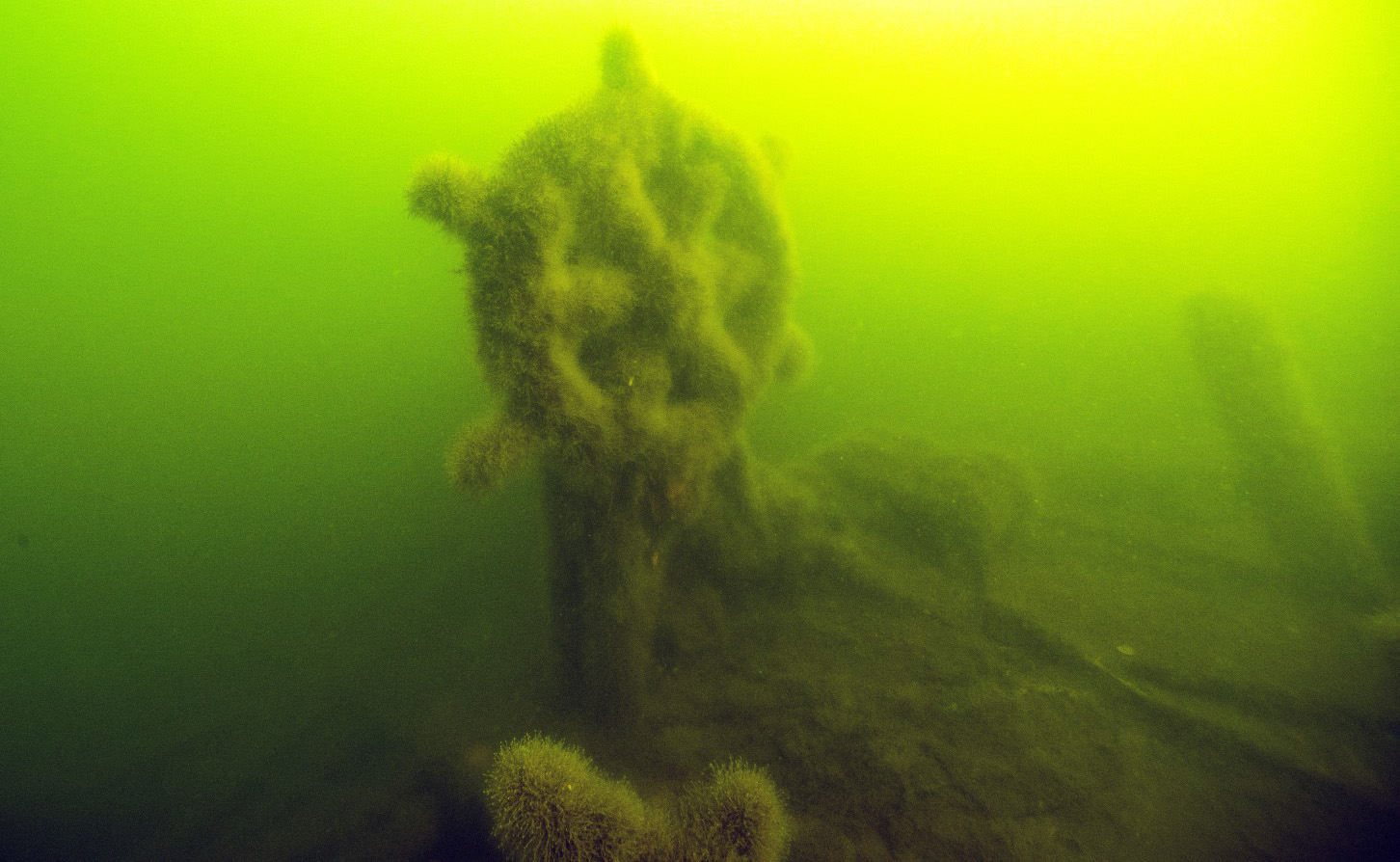 Sjöhistoriska museets marinarkeologer dyker på nyupptäckta vrak i Stockholm