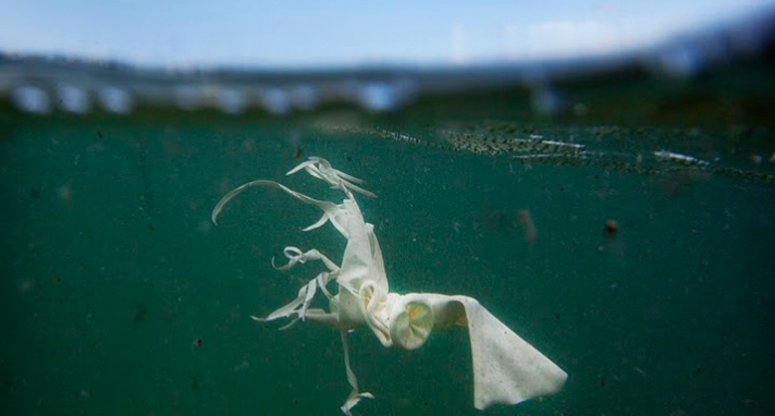 Skräpfiske – Sjöhistoriska uppmärksammar Världsvattendagen 